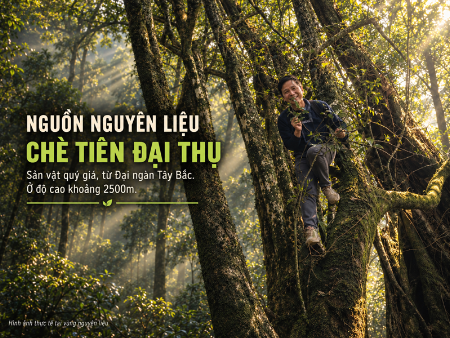 Giới thiệu CỘI TRÀ TIÊN - ỎA MÂY Fairy Tea