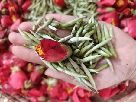 TRÀ HOA ĐỎ - OẢ MÂY