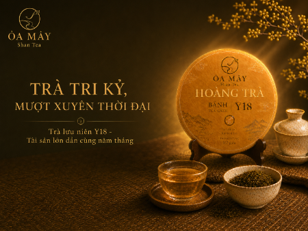 HOÀNG TRÀ BÁNH - Y18 Shan Tea