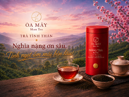 HỒNG TRÀ - ỎA MÂY Shan Tea