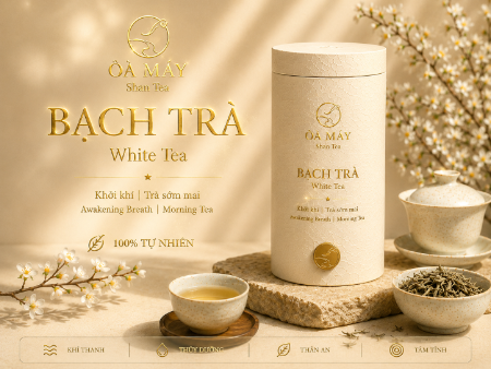 Bạch Trà ỎA MÂY