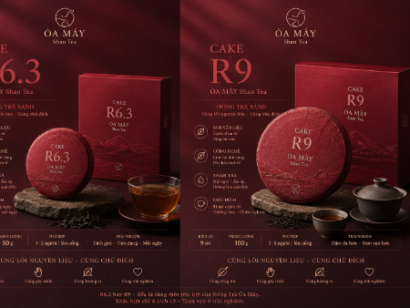 HỒNG TRÀ TINH HOA - R18