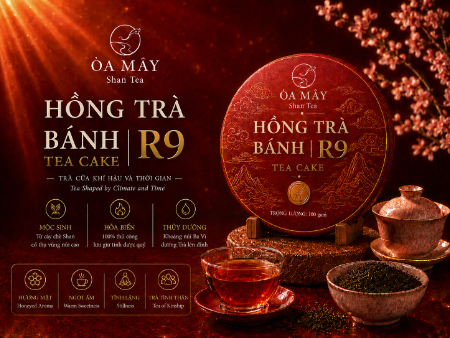 HỒNG TRÀ BÁNH - R9 Shan Tea
