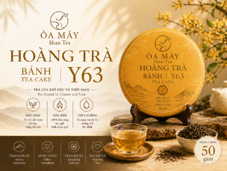 HOÀNG TRÀ BÁNH - Y63 Shan Tea