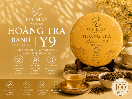 HOÀNG TRÀ BÁNH - Y9 Shan Tea