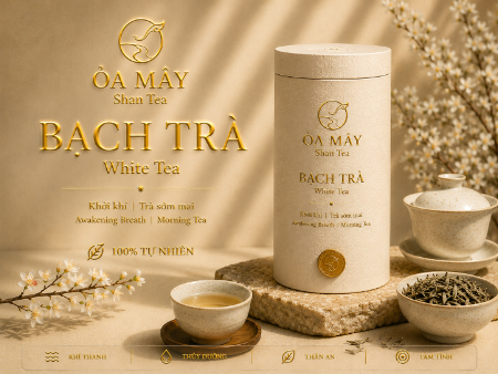 BẠCH TRÀ - ỎA MÂY Shan Tea