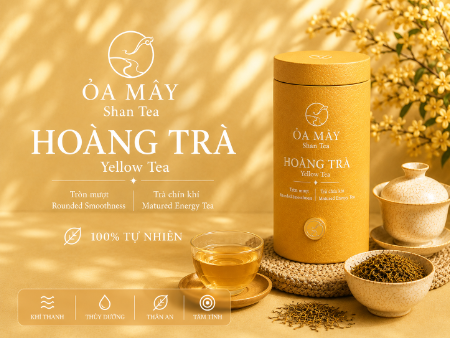 HOÀNG TRÀ - ỎA MÂY Shan Tea