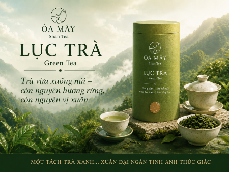 LỤC TRÀ - ỎA MÂY Shan Tea