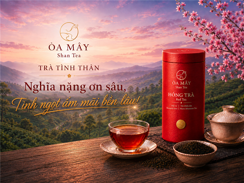 HỒNG TRÀ - ỎA MÂY Shan Tea