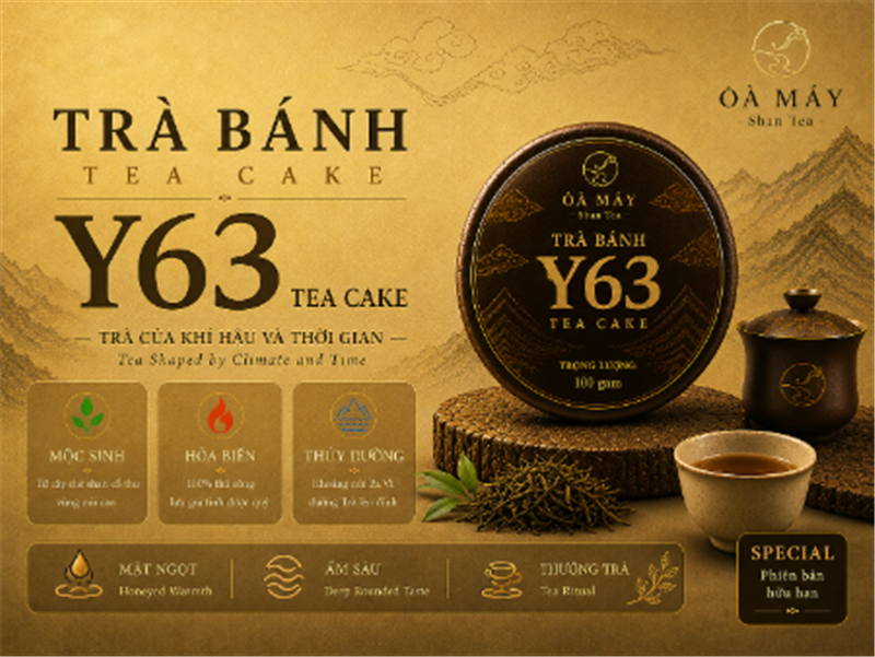 HOÀNG TRÀ TRI ÂN - Y36