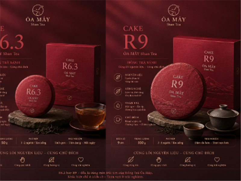 HỒNG TRÀ TINH HOA - R18