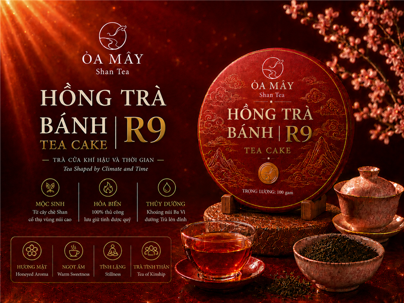 HỒNG TRÀ BÁNH - R9 Shan Tea