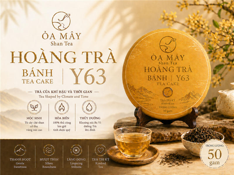 HOÀNG TRÀ BÁNH - Y63 Shan Tea