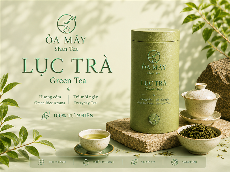 LỤC TRÀ - ỎA MÂY Shan Tea
