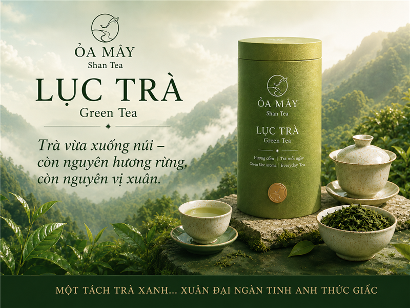 LỤC TRÀ - ỎA MÂY Shan Tea