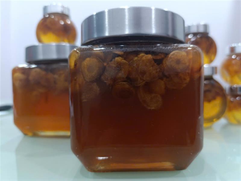 Mật Ong - SÂM RỪNG