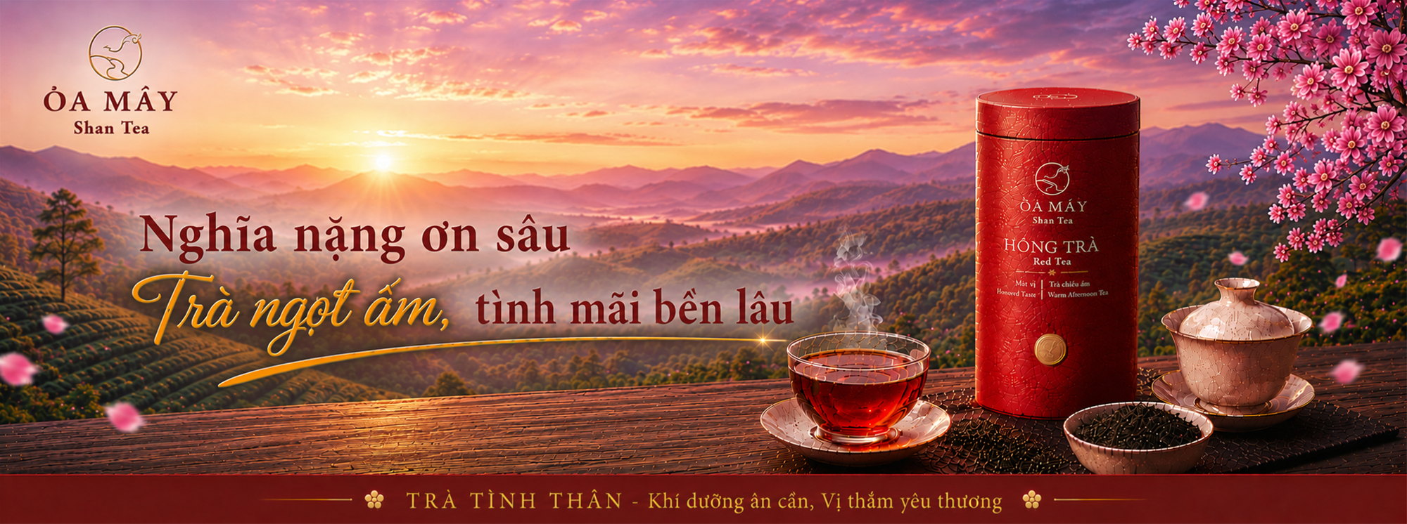 HỒNG TRÀ - ỎA MÂY Shan Tea