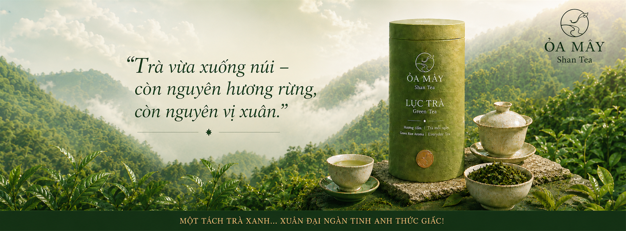 LỤC TRÀ - ỎA MÂY Shan Tea