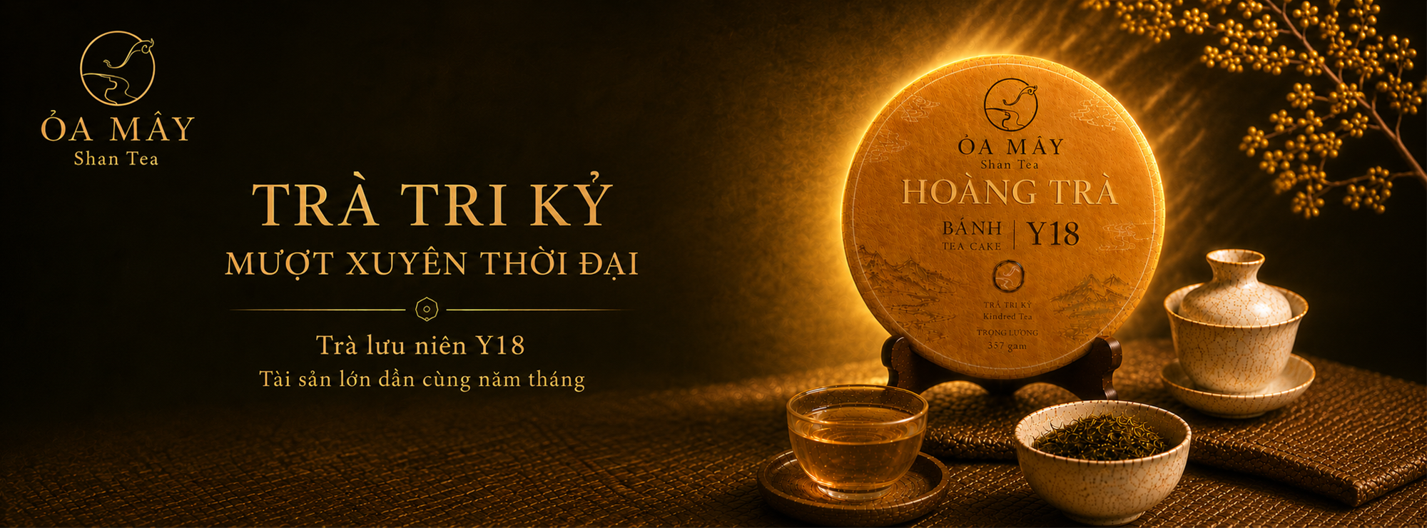 HOÀNG TRÀ BÁNH Y18